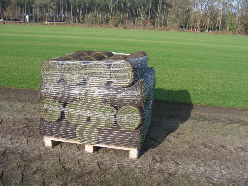 rouleau gazon naturel