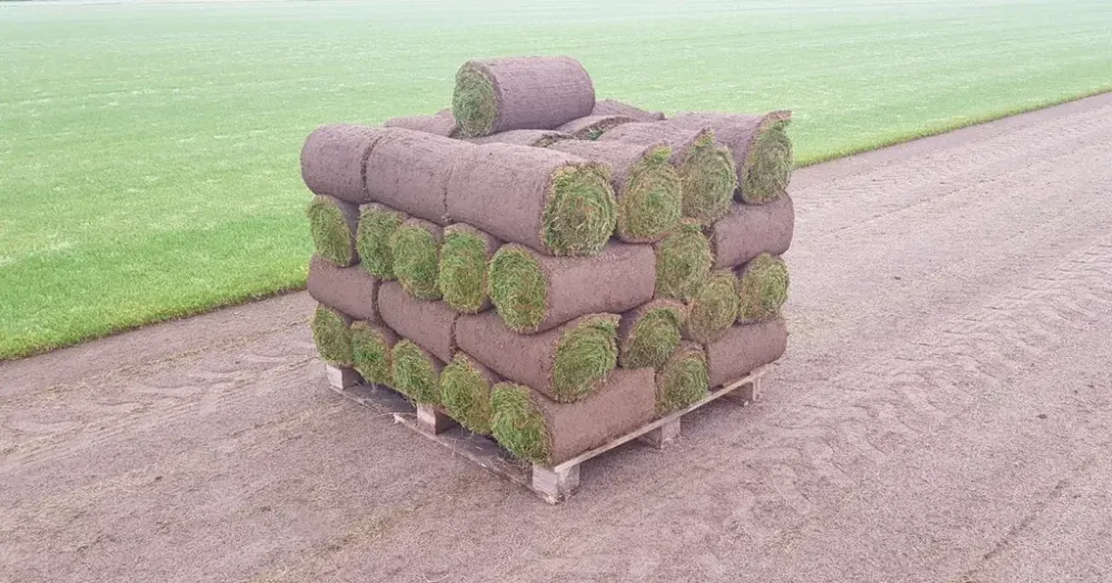 Rouleau de gazon naturel